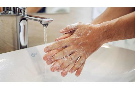 Florida's Poisonous Frogs and What To Do If It All Goes Wrong - Animals ...