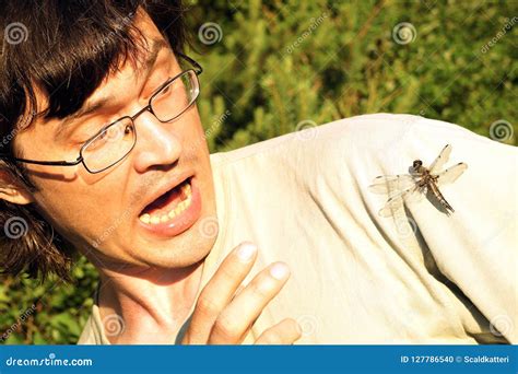 Insectophobia Fear Of Insects Word Hand Sphere Cloud Concept Royalty ...