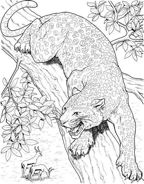 Jaguar coloring pages to download and print for free
