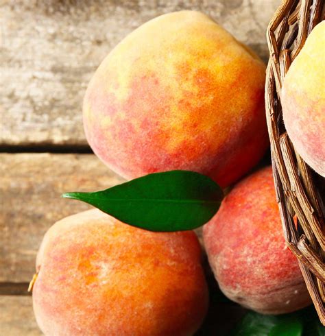 Oliver Apple Pie | Oliver Winery & Vineyards