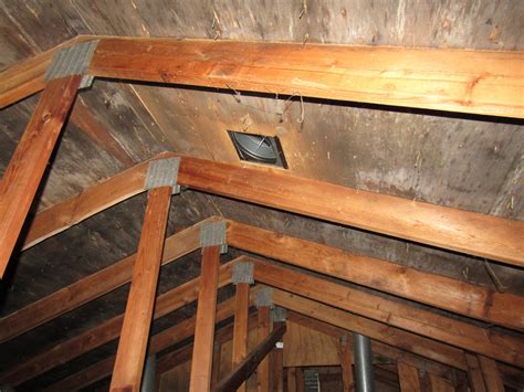 The top five places to find mold in your home - Structure Tech Home ...