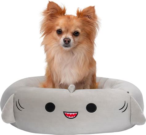 Squishmallows 20-Inch Gordon Shark Pet Bed - Small Ultrasoft Official ...