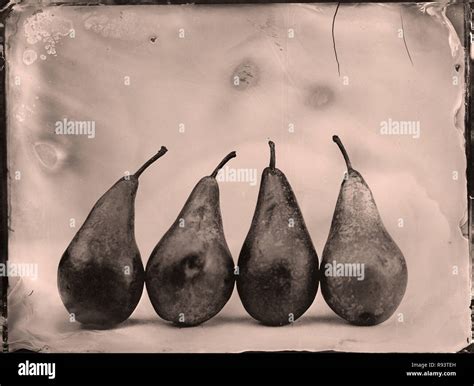Wet plate collodion process hi-res stock photography and images - Alamy