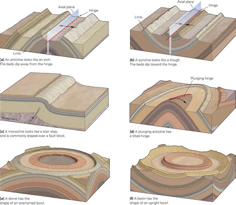 Anticline And Syncline And Monocline