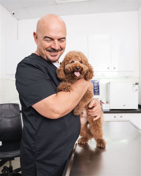 Do Dogs Have Appendicitis? Vet-Verified Answers