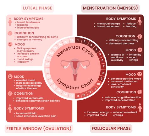New study finds that brain structure changes cyclically throughout the menstrual cycle - KTVZ in ...