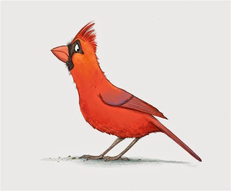 Cute Cardinal Drawing