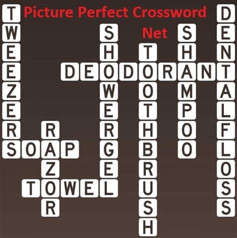 Personal Hygiene - Picture Perfect Crossword