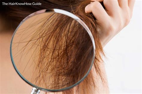 Frizzy Hair Help Advice - The Ultimate Guide — HairKnowHow.Com ...