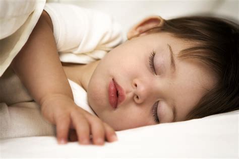 Infusión Dormir Hacendado : Infusiones y tés - PQRB