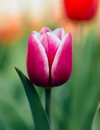 Wyman Roberts Funeral Home - San Augustine - Texas - Funeral Homes ...