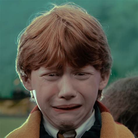 Harry Potter Ron, Harry Potter Aesthetic, Ron Ron, Rupert Grint, Ron ...