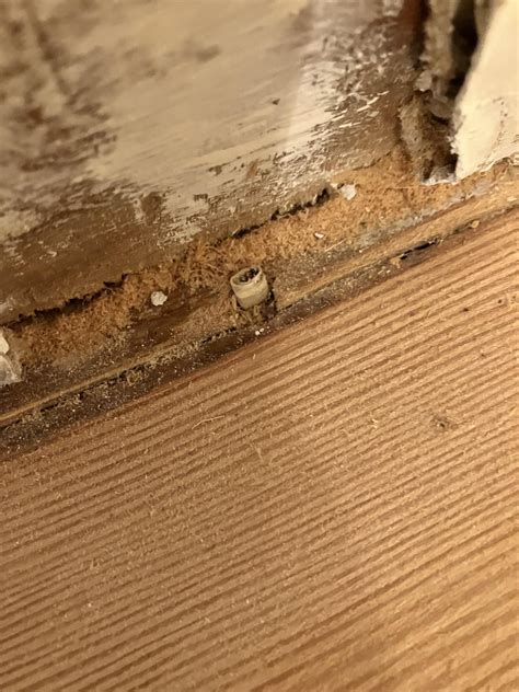 How do I fix this Wi-Fi cable the floor guys cut clean in two? : r/howto