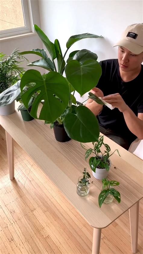 How Long To Bottom Water Plants - Plant Ideas