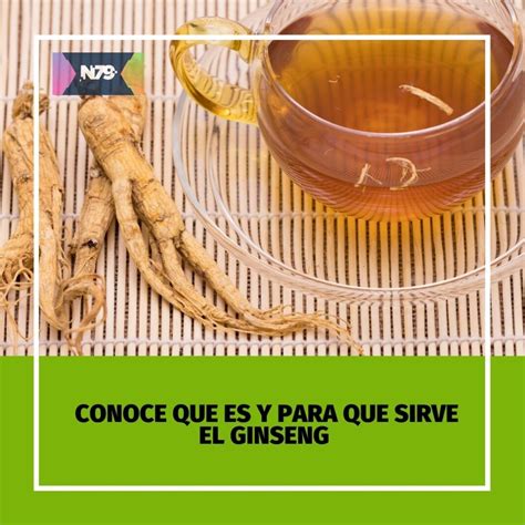Conoce que es y para que sirve el ginseng