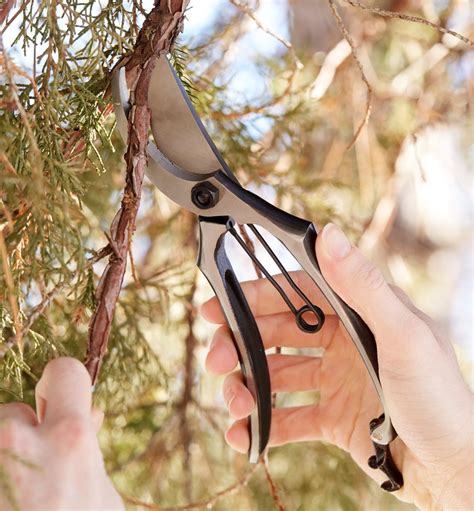 High-Quality Anvil Pruner - Lee Valley Tools