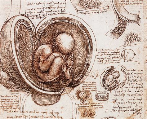 The window into Leonardo da Vinci's creativity? His sketchbooks ...
