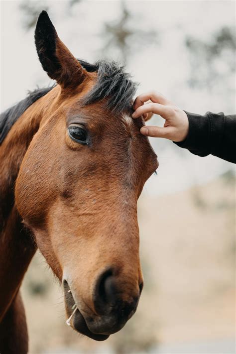 Anime+Sex+Positions Photos, Download The BEST Free Anime+Sex+Positions ...