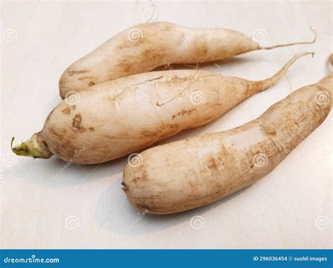 Mooli, Daikon or Daikon Radish Vegetable is the Most Common. Stock ...
