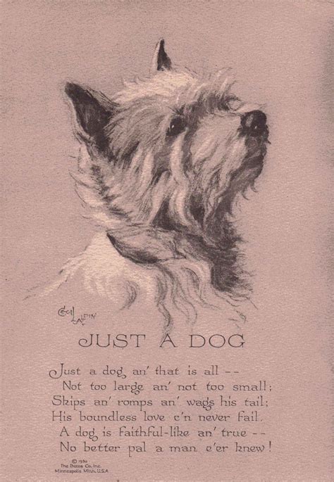 Beloved Dog Poems