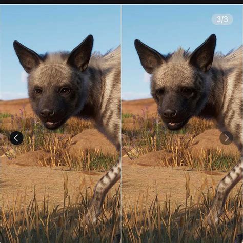 Striped Hyena Overhaul | Frontier Forums
