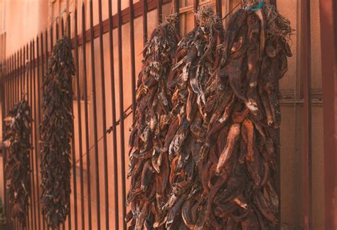 Travel Diary: 2023 Tour through New Mexico - Part 1 — Bink Visual Studio