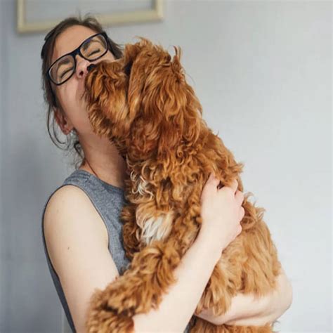 Is Kissing Your Dog Dangerous - is it dangerous to kiss your cat