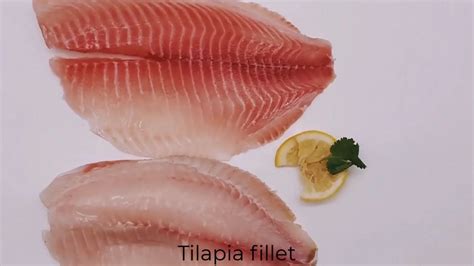 All Size Frozen Tilapia Fillets 10lbs Per Carton Skinness Boneless ...