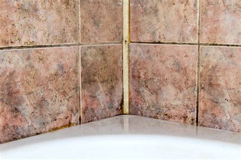 Remove Mold From Shower Grout at Jasper Corral blog