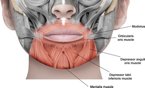 Drooping Mouth Corners Treatment SG | Ultherapy PRIME