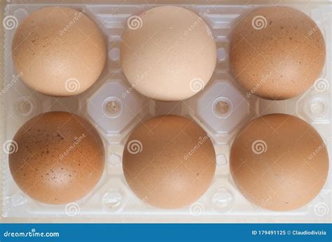 Half dozen eggs carton stock image. Image of eating - 179491125
