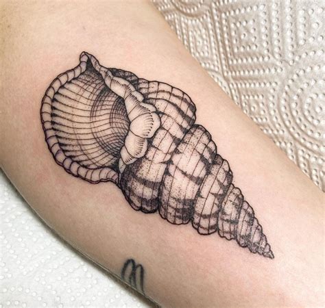 Shell Seashell Tattoos