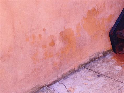 Candace Owens Apologizes to Kanye & President Trump — Full Statement ...