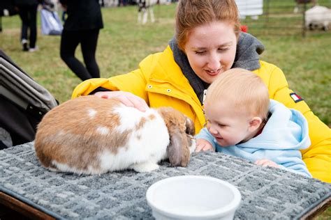 Laurels Of Hudsonville