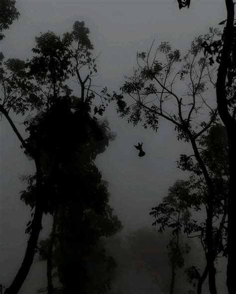 Aroomikimm Leaked Nudes