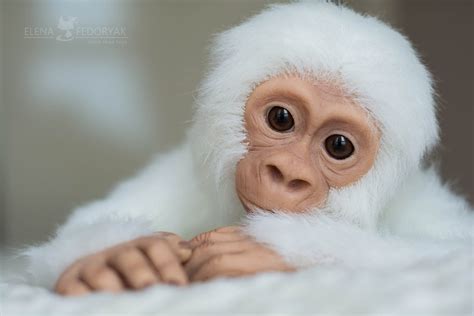 Baby White Gorilla Life Size Realistic Movable Toy. OOAK - Etsy