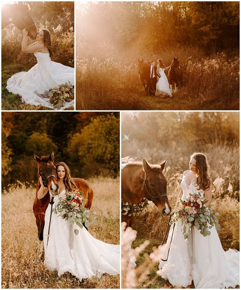 Equestrian bridal portraits | Horse wedding photos, Wedding portraits, Bridal portraits