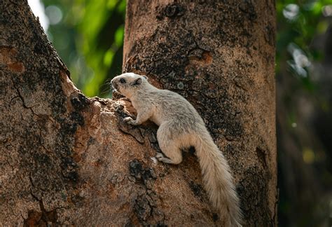 Free Easter Images Photos, Download The BEST Free Free Easter Images ...