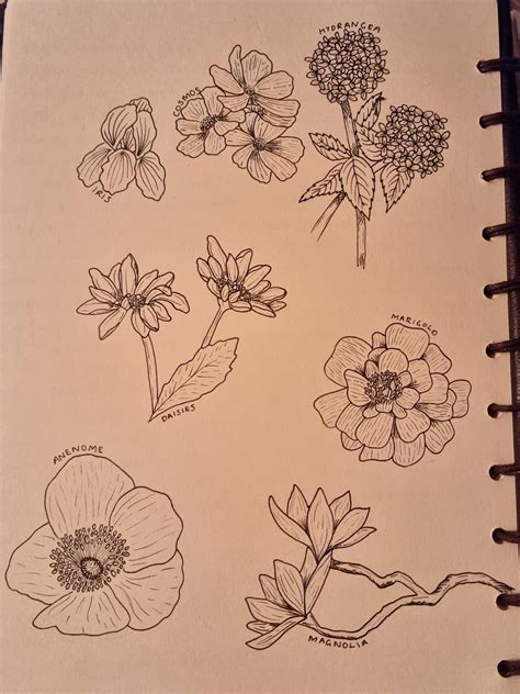 Tried drawing the garden for the first time : r/garden