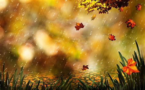 Autumn Rain Wallpapers - Top Free Autumn Rain Backgrounds - WallpaperAccess