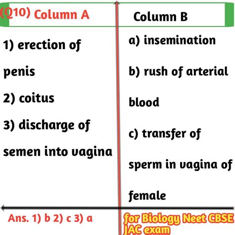 matching question examples in biology for class 12th exams - Biologysir