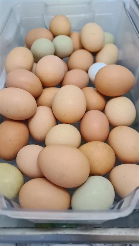 Fresh Egg Avenue - Manchester, GB-ENG - Nextdoor