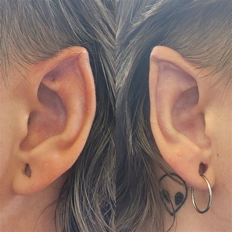 2 months healed : r/bodymods