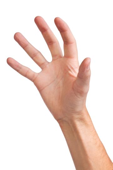 Hand Grabbing PNG, Vector, PSD, and Clipart With Transparent Background ...
