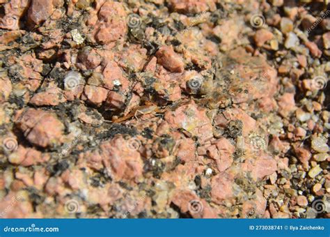 The Yellow Scorpion in Mountains Masked between Rocks Stock Image - Image of mountains, rock ...