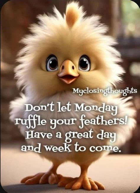 Happy Monday Morning Funny