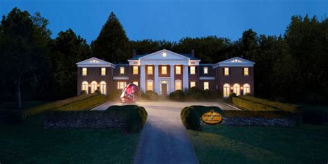 Harry Potter: What Was Harry's Life Before Hogwarts Like?