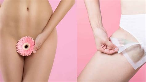 Pictures Of Brazilian Bikini Wax Before And After