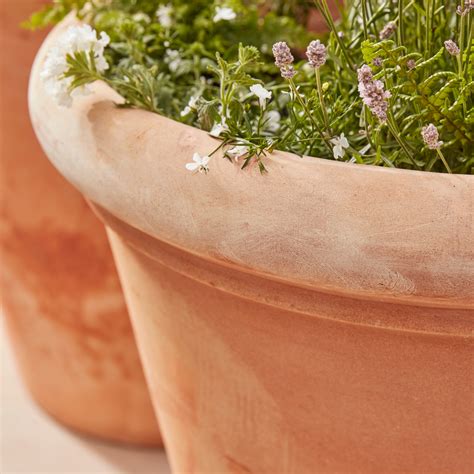 Large Terracotta Pots Cheap