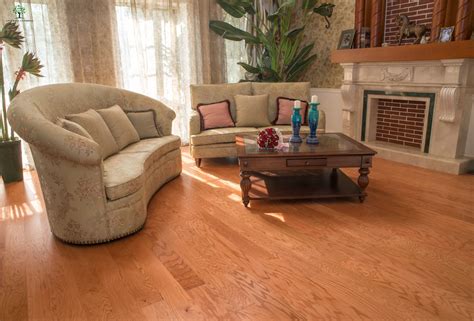 Can cats scratch wood floors ？ - LongWell